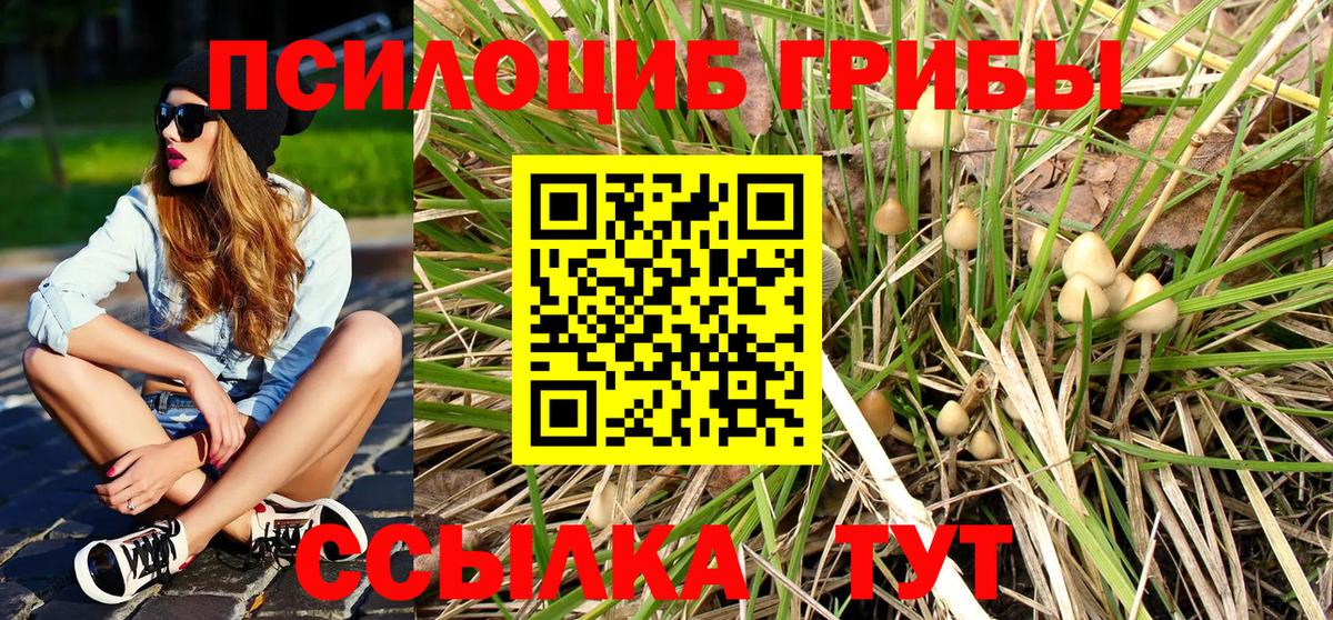 Алапаевск  Псилоцибиновые грибы GOLDEN TEACHER  Вход с VPN  Псилоцибиновые грибы Magic Shrooms 